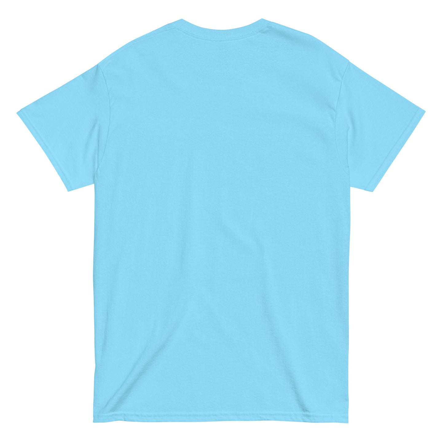 Men's classic tee, Summer and Spring
