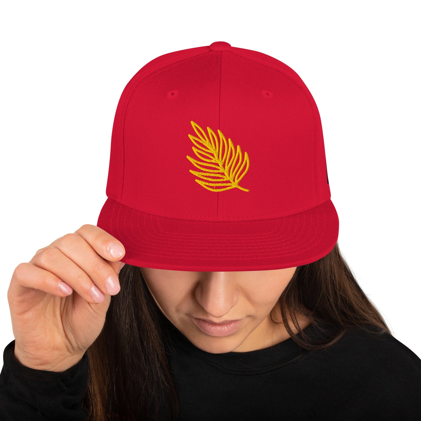 Snapback Hat Best snapback hat unisex - PratSN