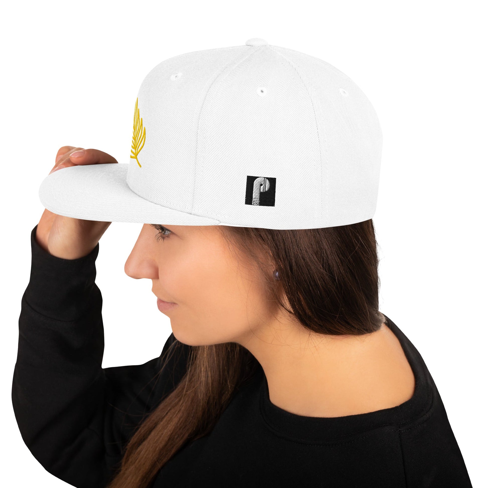 Snapback Hat Best snapback hat unisex - PratSN