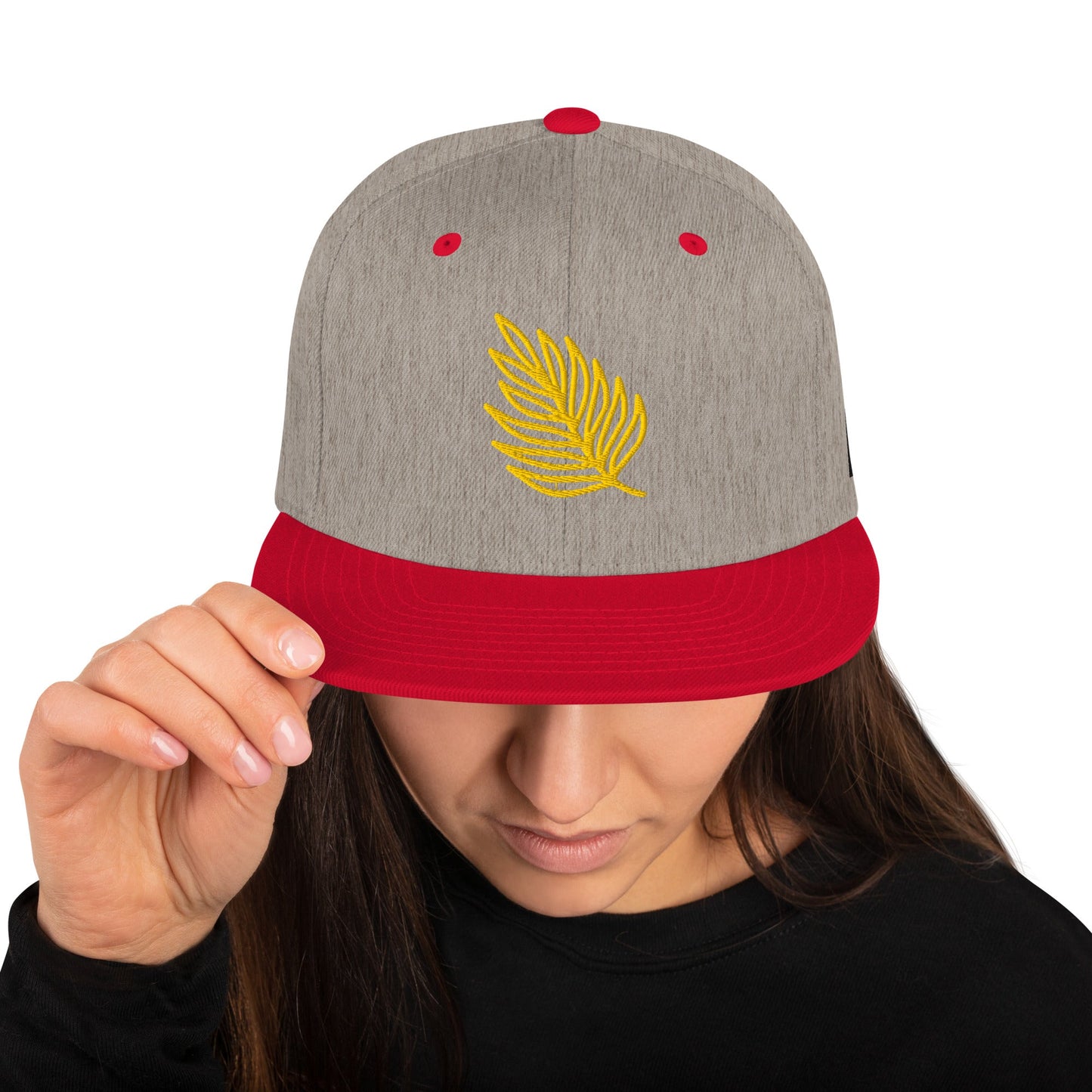 Snapback Hat Best snapback hat unisex - PratSN