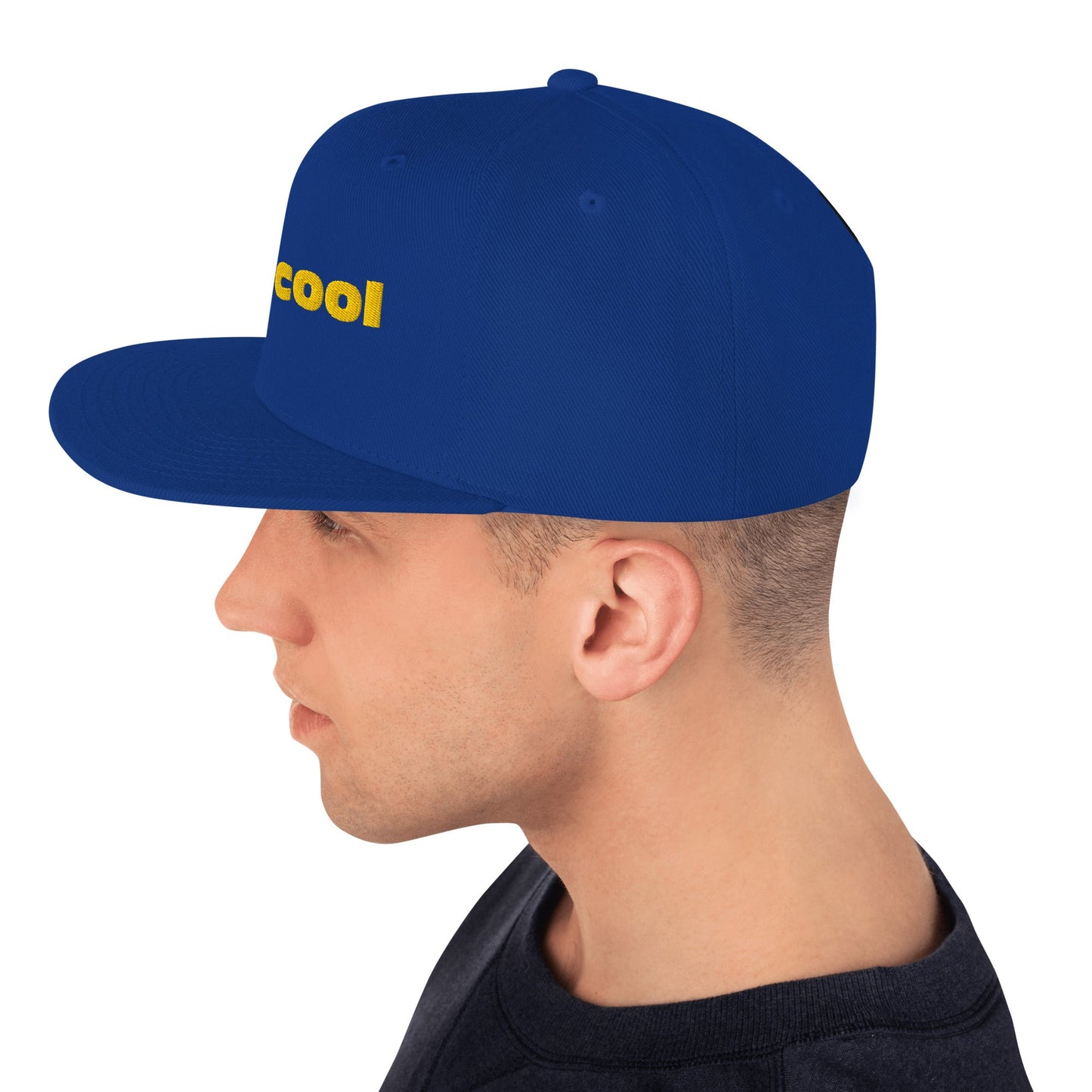 Snapback Hat For Men and Women Best snapback hat unisex - PratSN