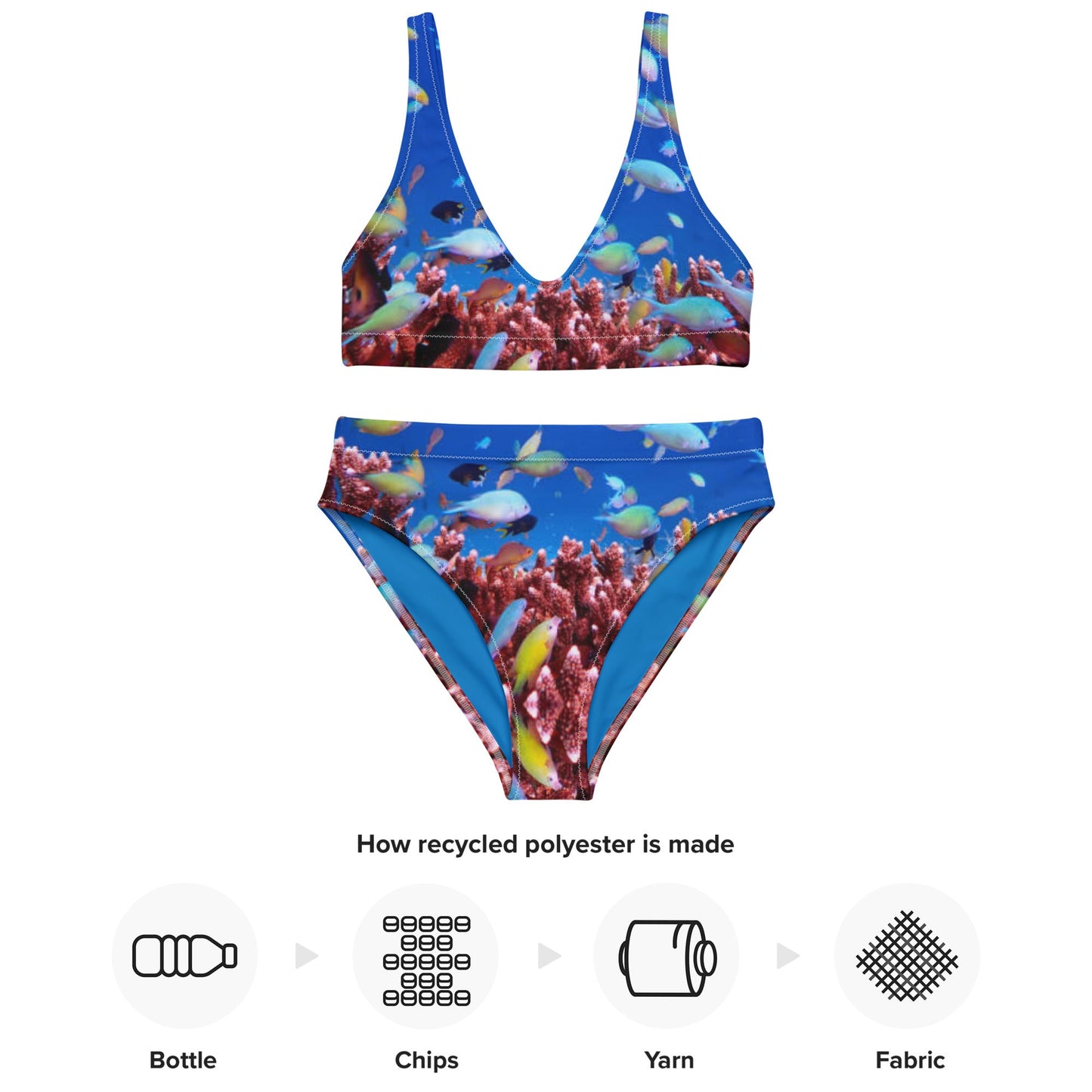 Women's high - waisted bikini, Sea Life Pattern Two Piece Bikini, Swimsuit for Women Vacation Beachwear Cruise Swimsuit, Bikini, Gift Bathing Suit - PratSN