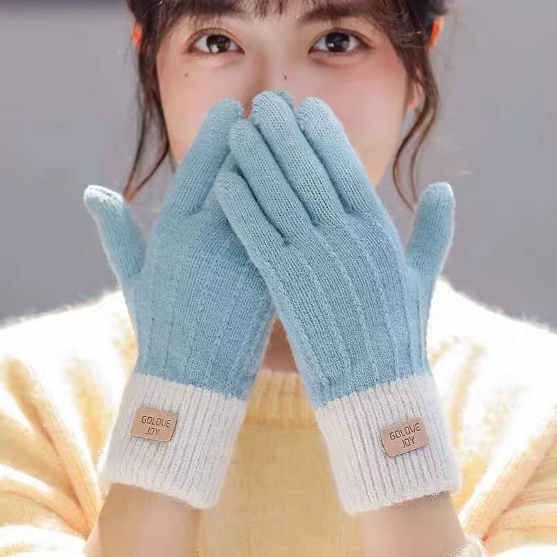 Women's Winter Mittens Brown Striped Embroidered Warm Cycling Spot Universal Cartoon Gloves Ins - PratSN