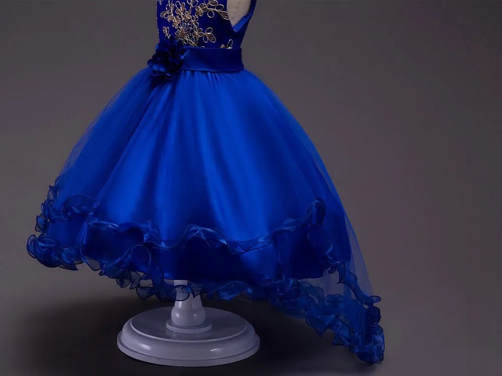 Embroidery Baby Girls Princess Flower Wedding Christmas Party Tutu Dress Children Kids Elegant Vestidos for 3 - 15Years Teenager - PratSN