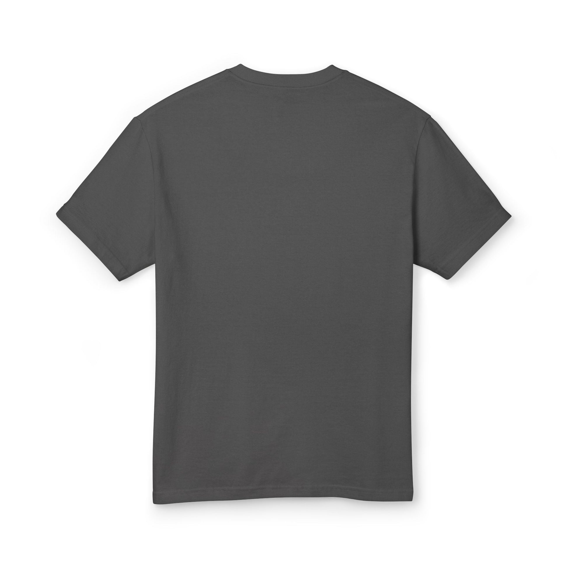 Garment-dyed heavyweight cotton tee - PratSN