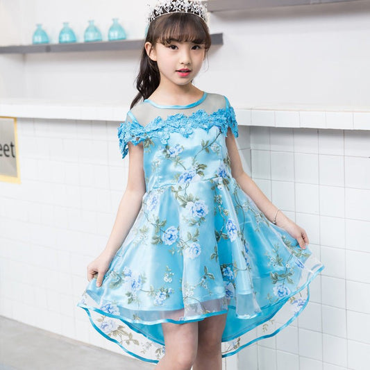 Girls Dress Summer New European And American Dress Princess Dress - PratSN