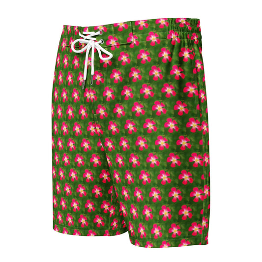 Men's Board Shorts, Shorts - PratSN