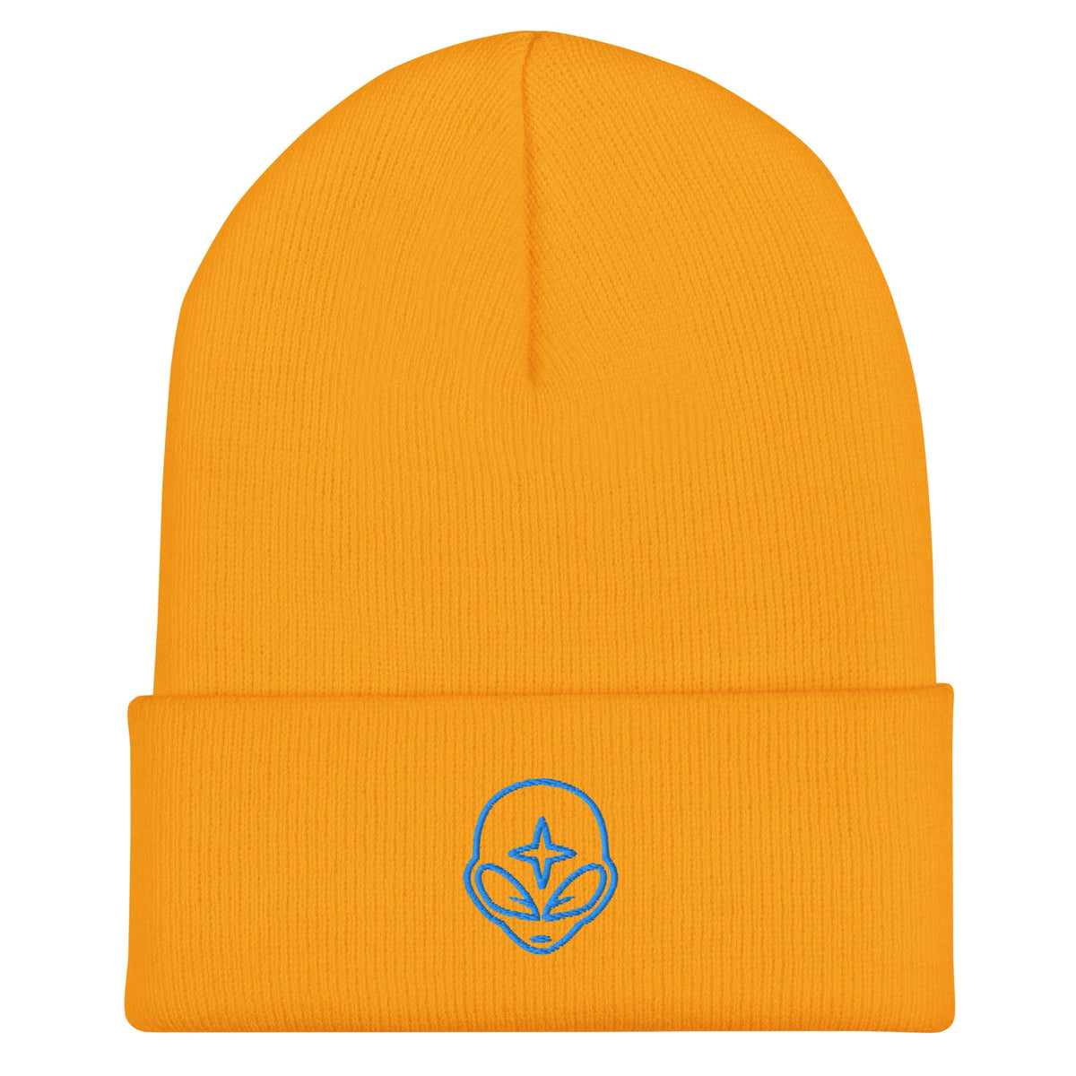 Men's Cuffed Beanie - PratSN