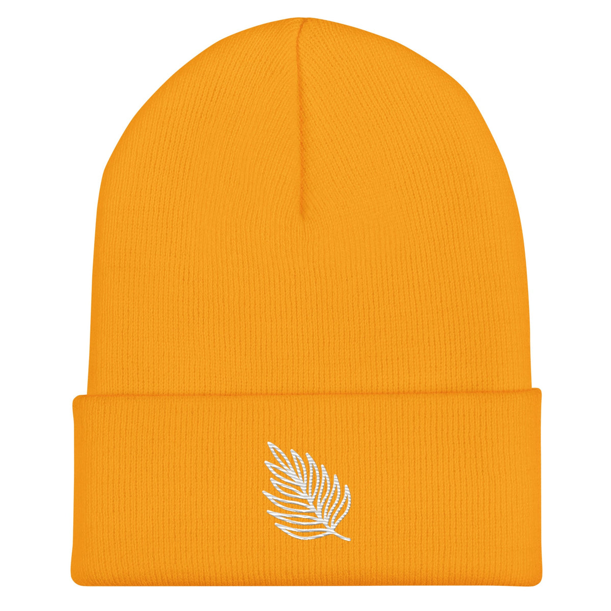 Men's Cuffed Beanie - PratSN