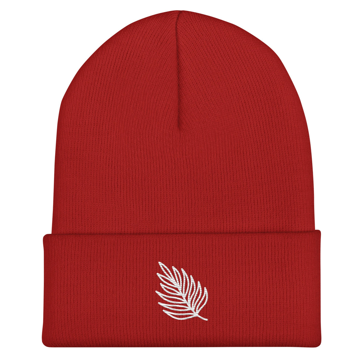 Men's Cuffed Beanie - PratSN