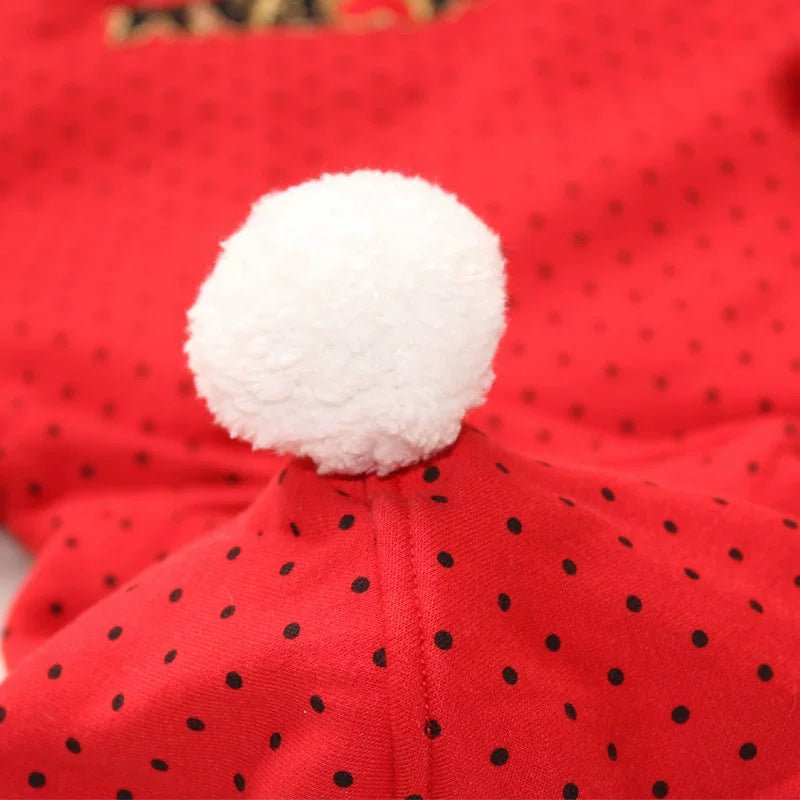 New Rabbit Ear 1 - 2 Years Old Infants Children's Cloak - PratSN