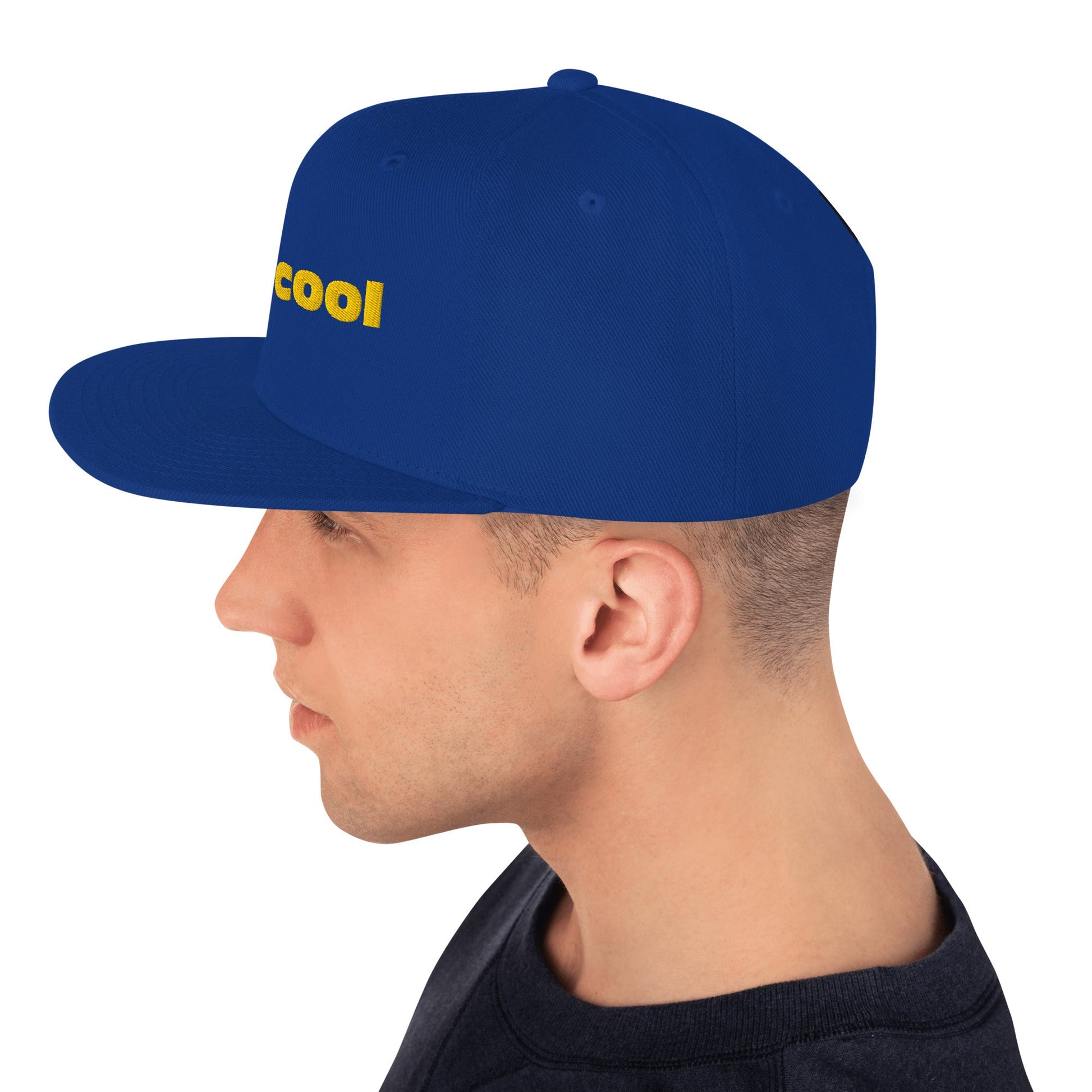 Snapback Hat For Men and Women Best snapback hat unisex - PratSN