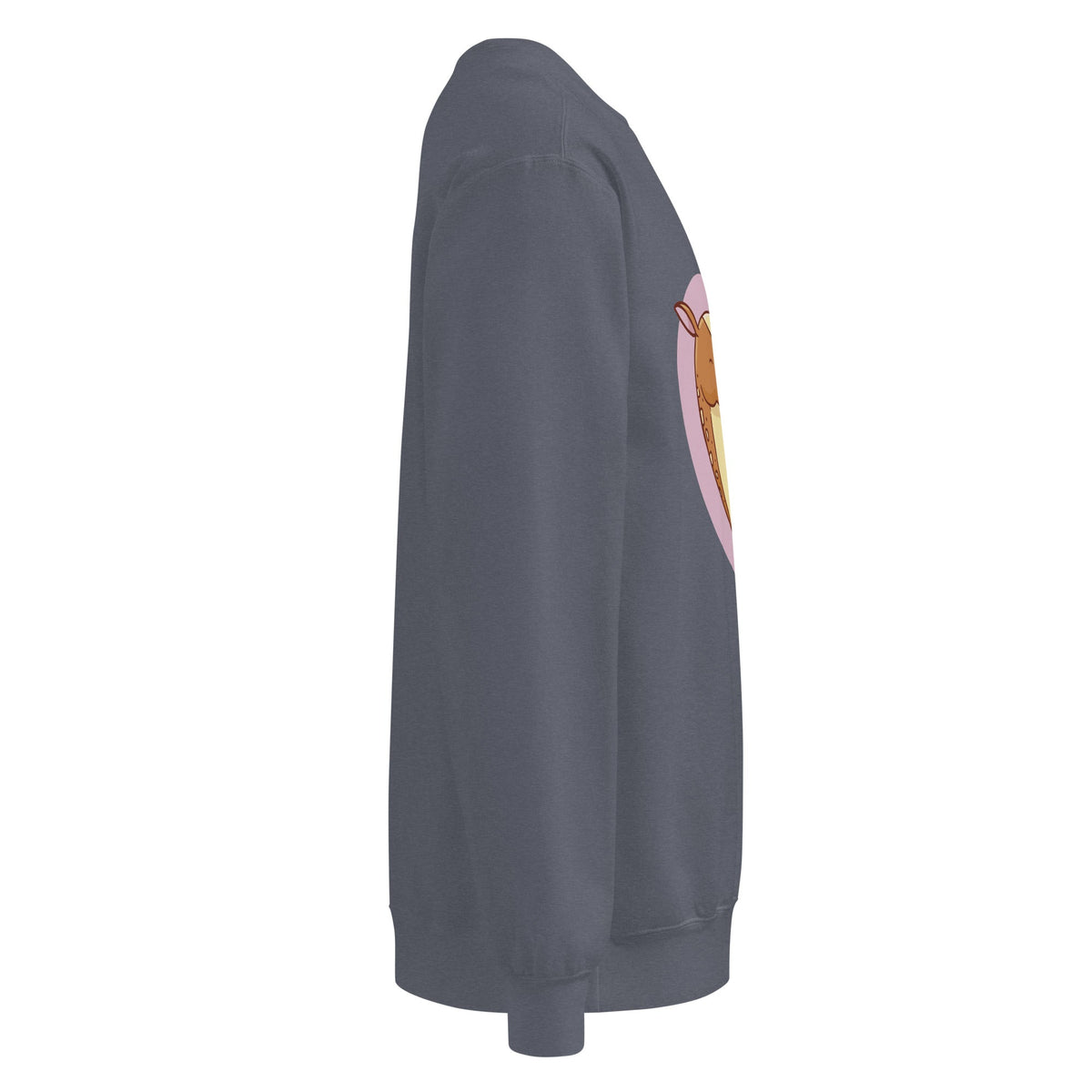 Unisex garment-dyed sweatshirt - PratSN