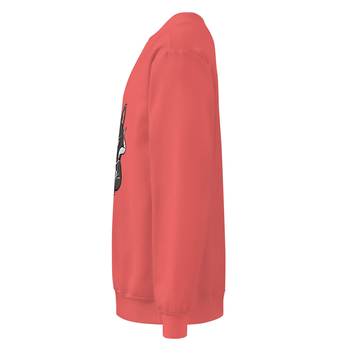 Unisex garment-dyed sweatshirt - PratSN