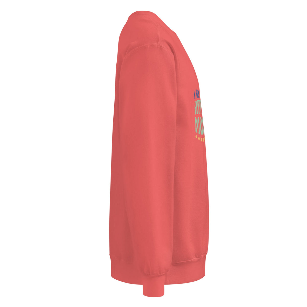 Unisex garment-dyed sweatshirt - PratSN