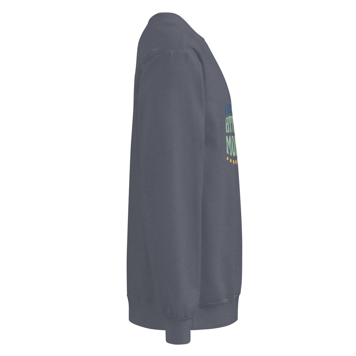 Unisex garment-dyed sweatshirt - PratSN