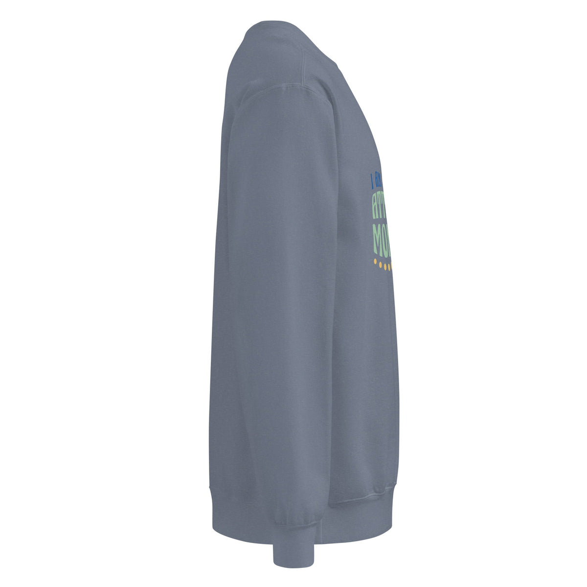 Unisex garment-dyed sweatshirt - PratSN