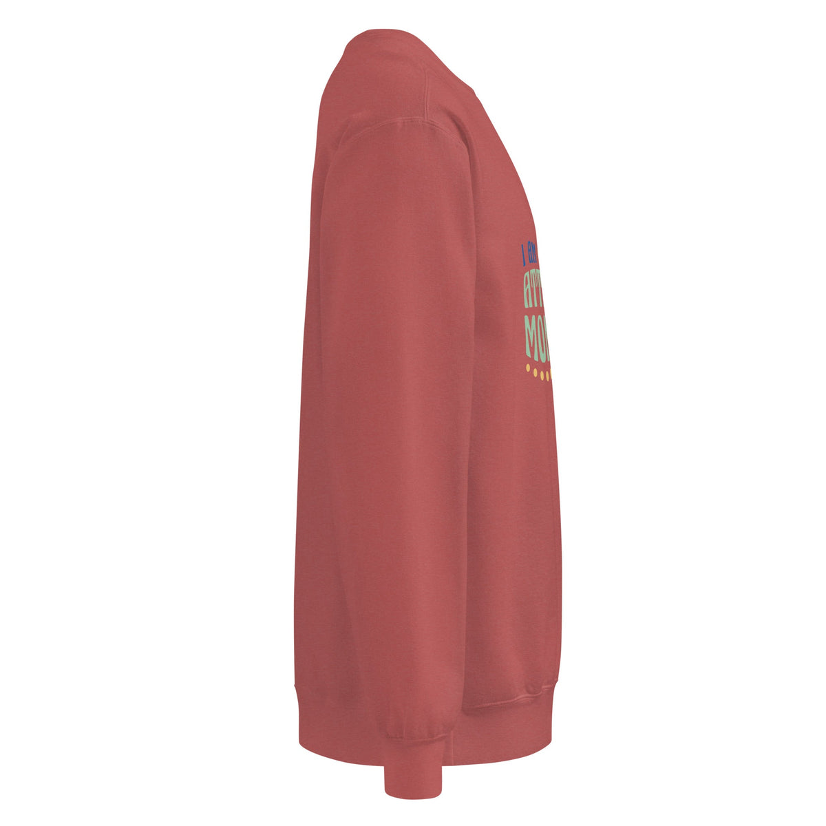 Unisex garment-dyed sweatshirt - PratSN