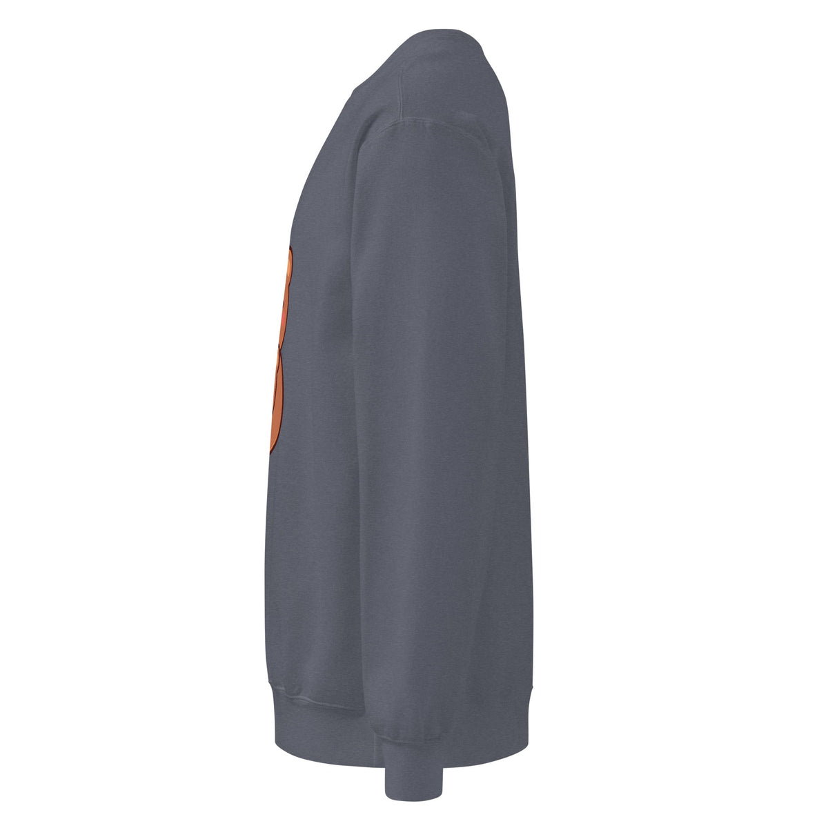 Unisex garment-dyed sweatshirt - PratSN