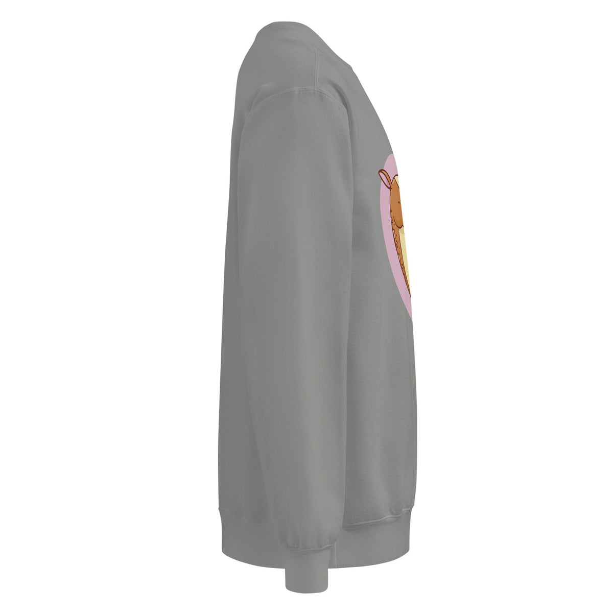 Unisex garment-dyed sweatshirt - PratSN