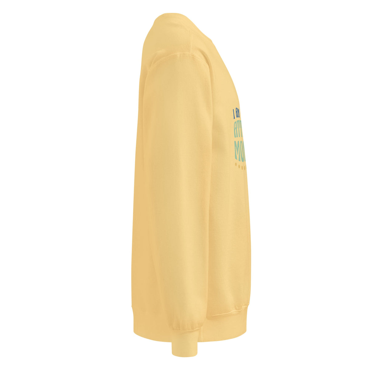 Unisex garment-dyed sweatshirt - PratSN