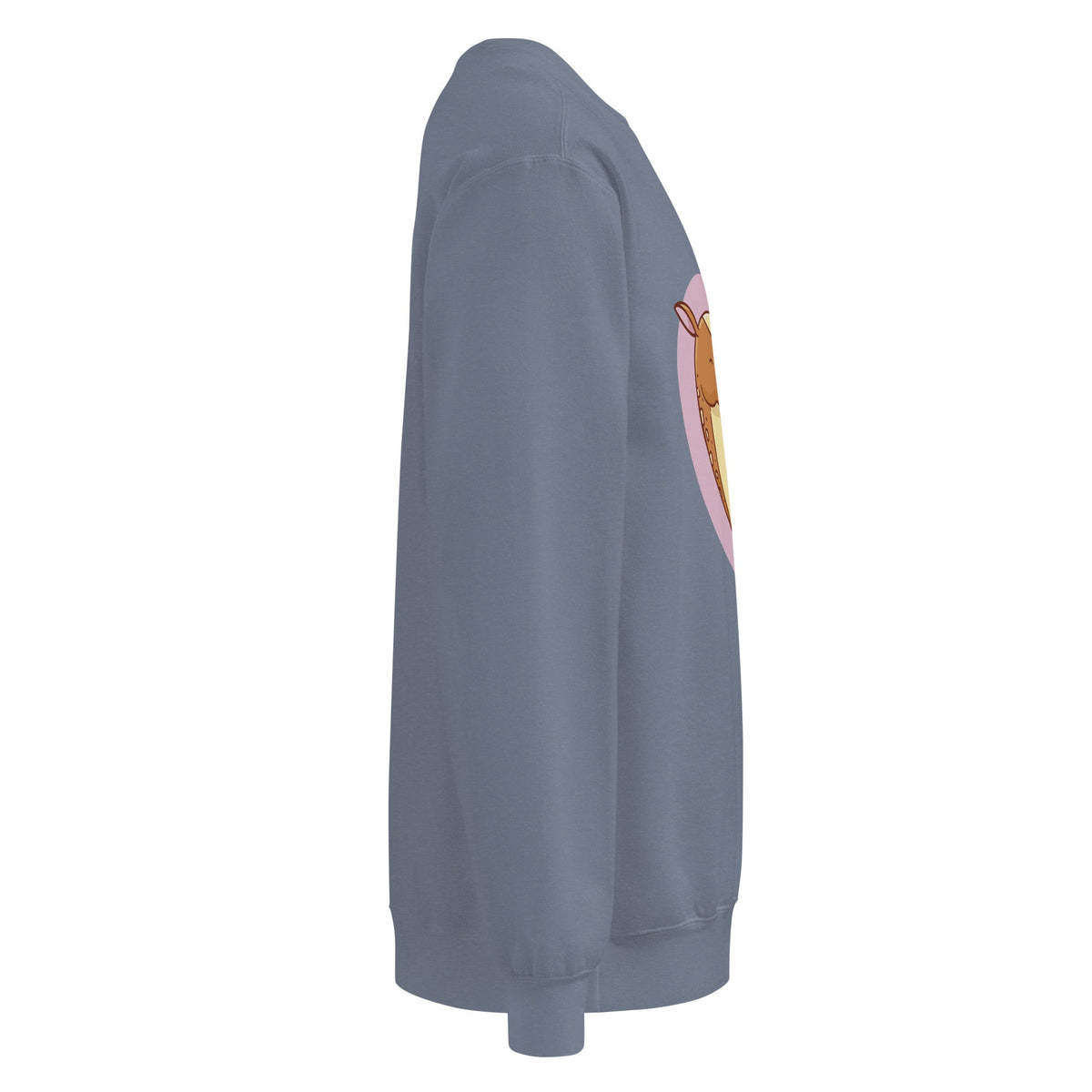 Unisex garment-dyed sweatshirt - PratSN