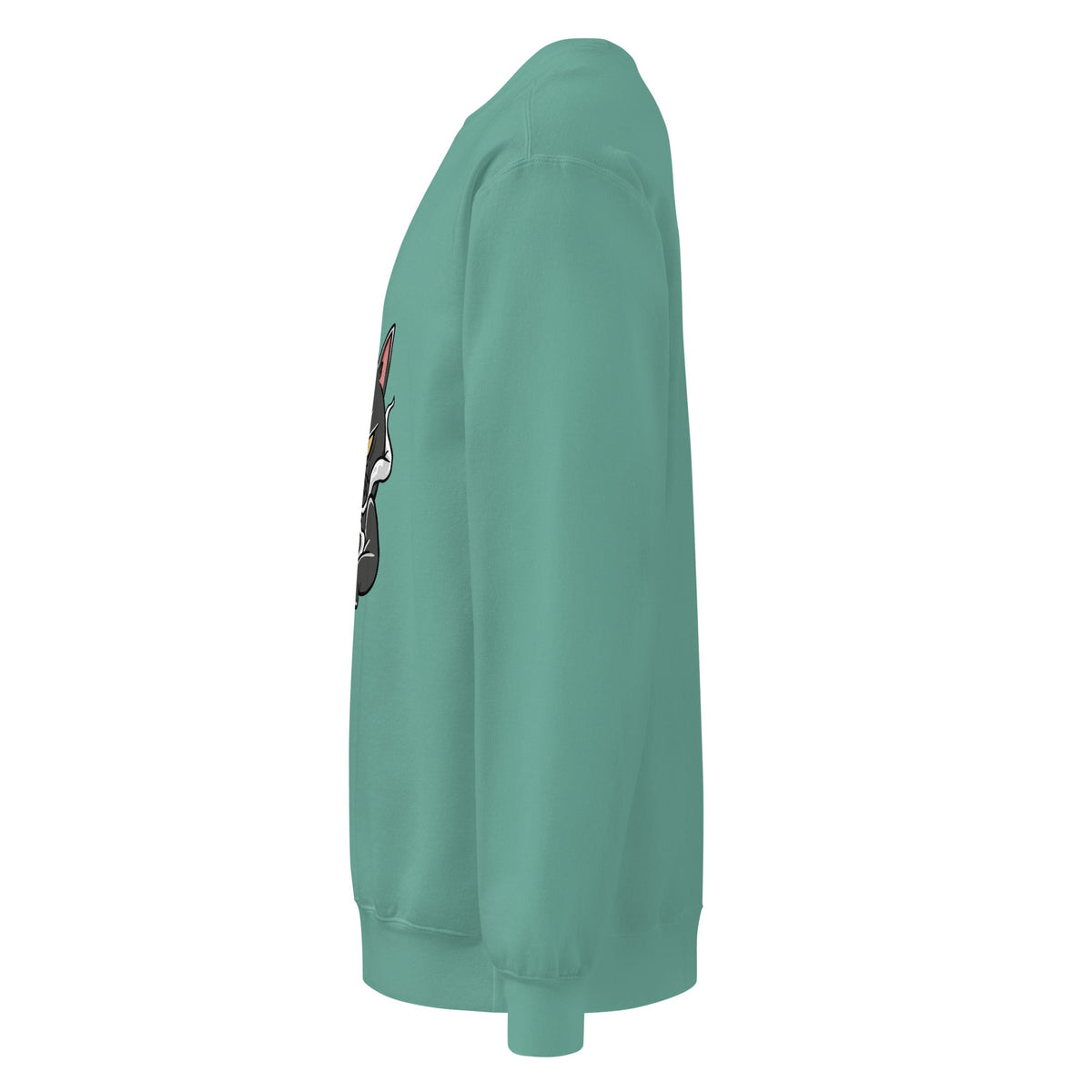 Unisex garment-dyed sweatshirt - PratSN