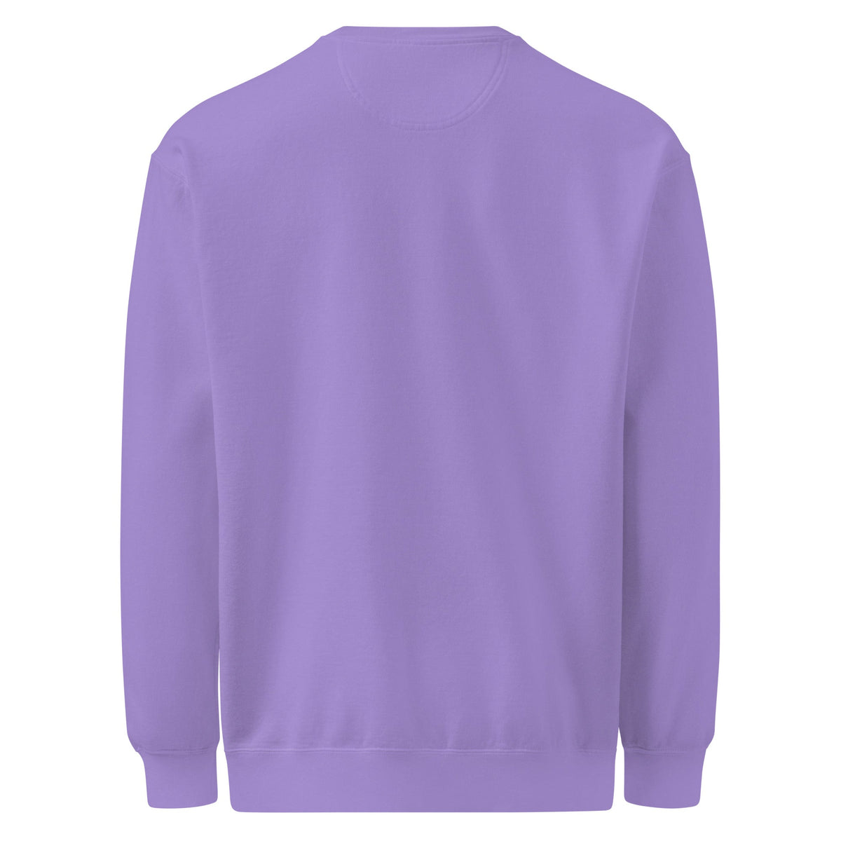 Unisex garment-dyed sweatshirt - PratSN
