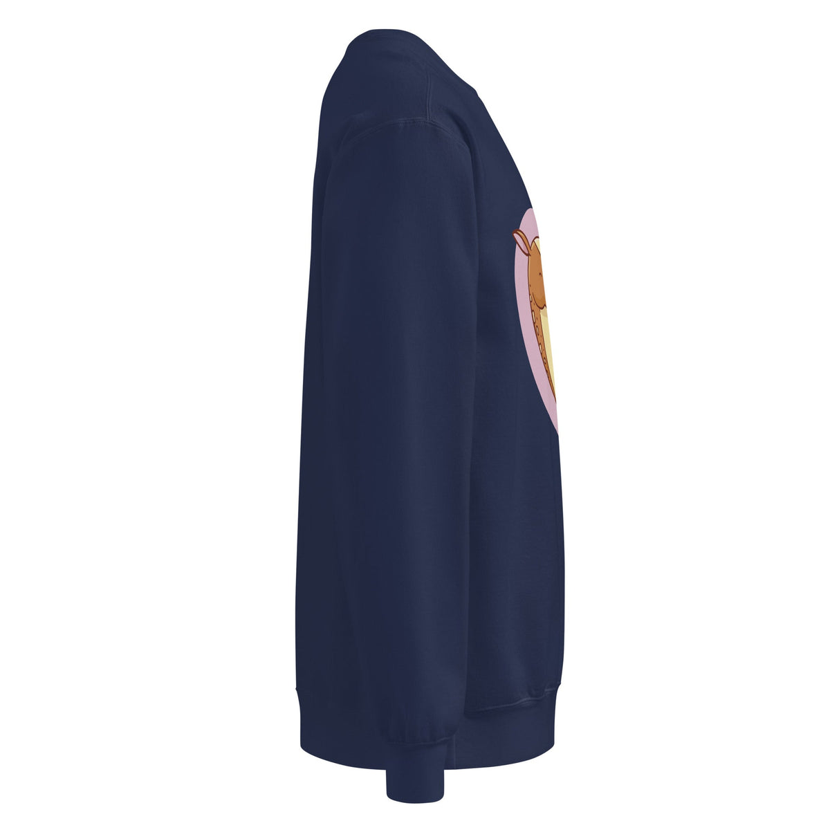 Unisex garment-dyed sweatshirt - PratSN