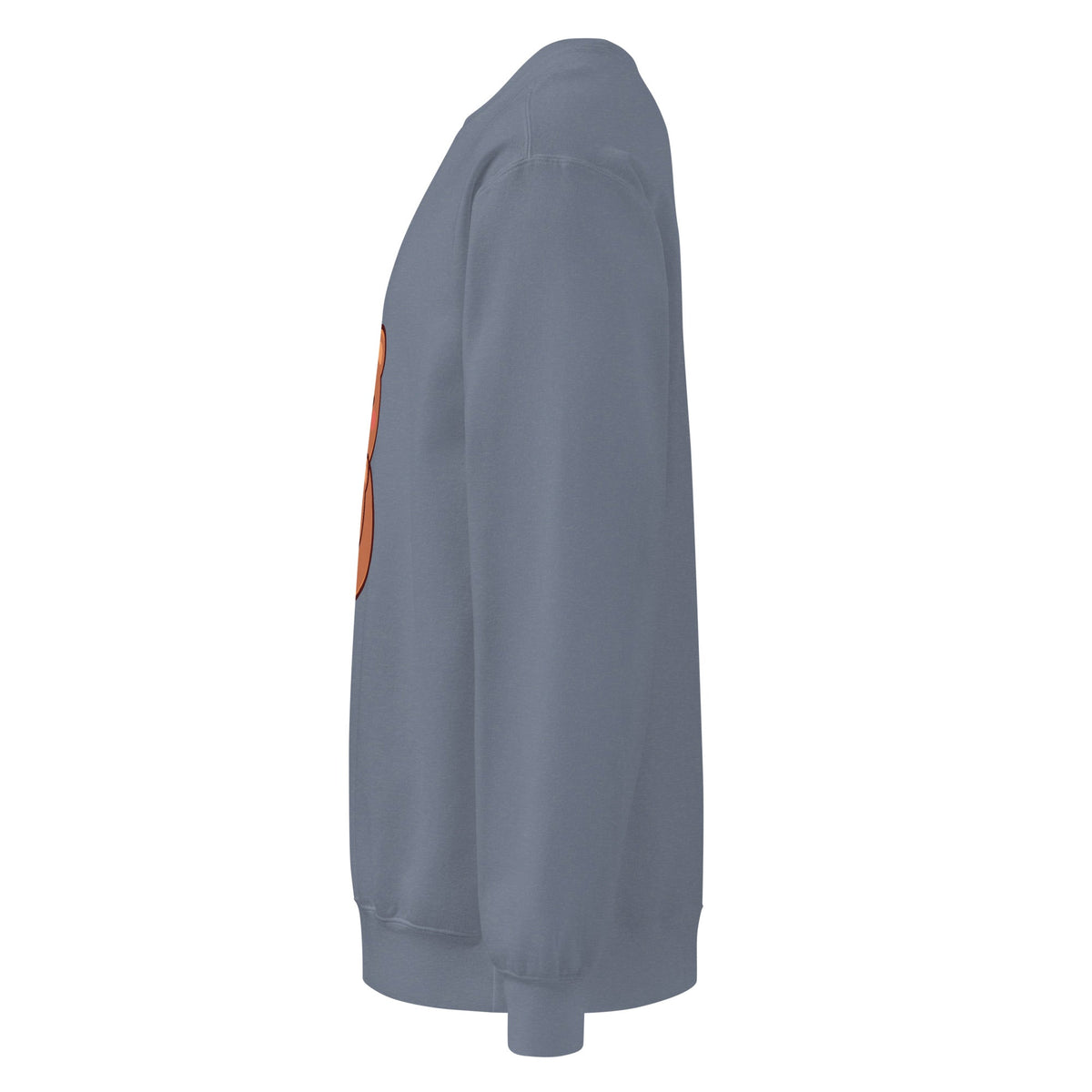 Unisex garment-dyed sweatshirt - PratSN