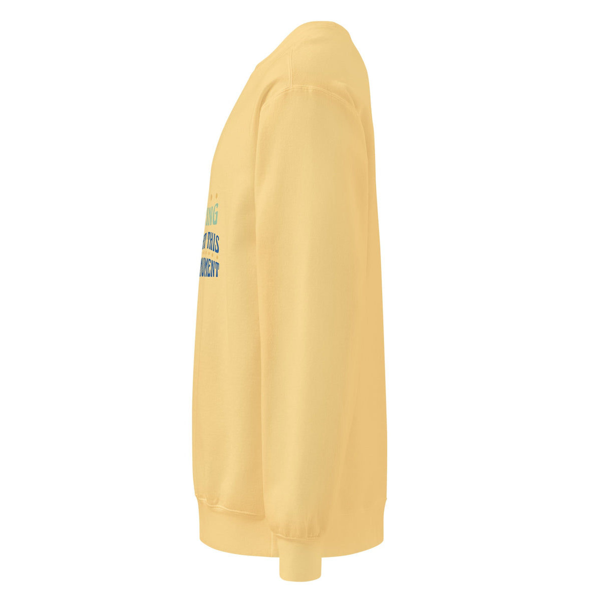 Unisex garment-dyed sweatshirt - PratSN