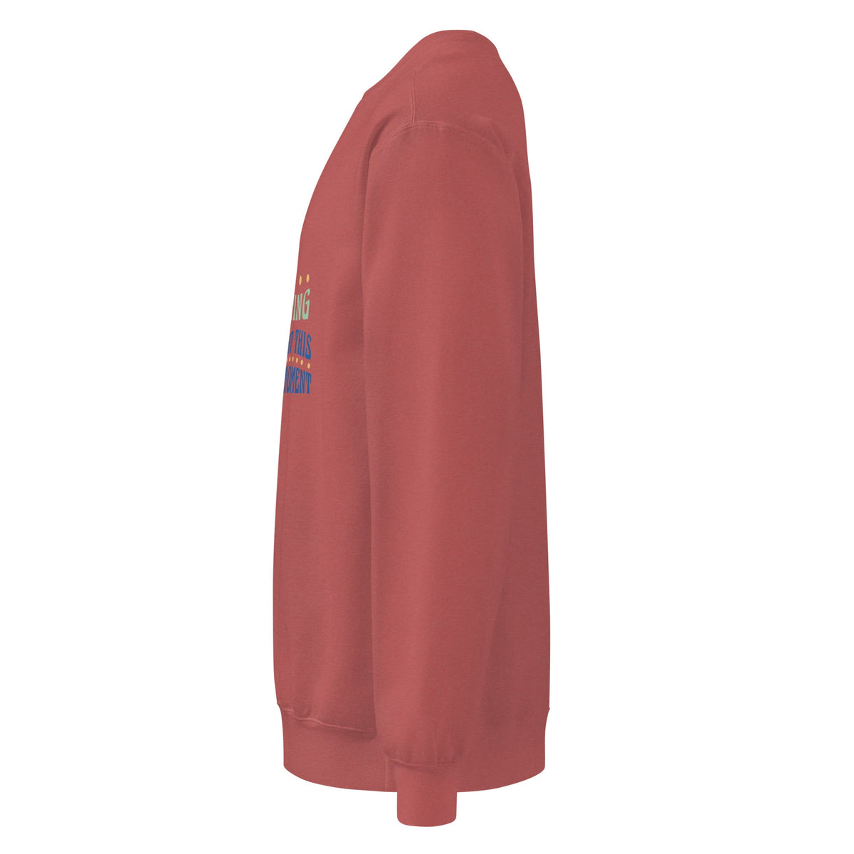 Unisex garment-dyed sweatshirt - PratSN