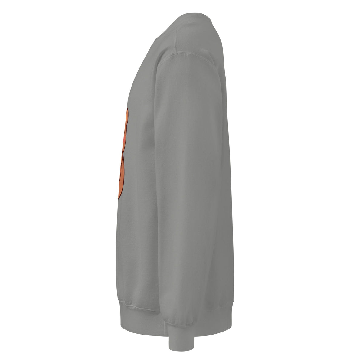 Unisex garment-dyed sweatshirt - PratSN