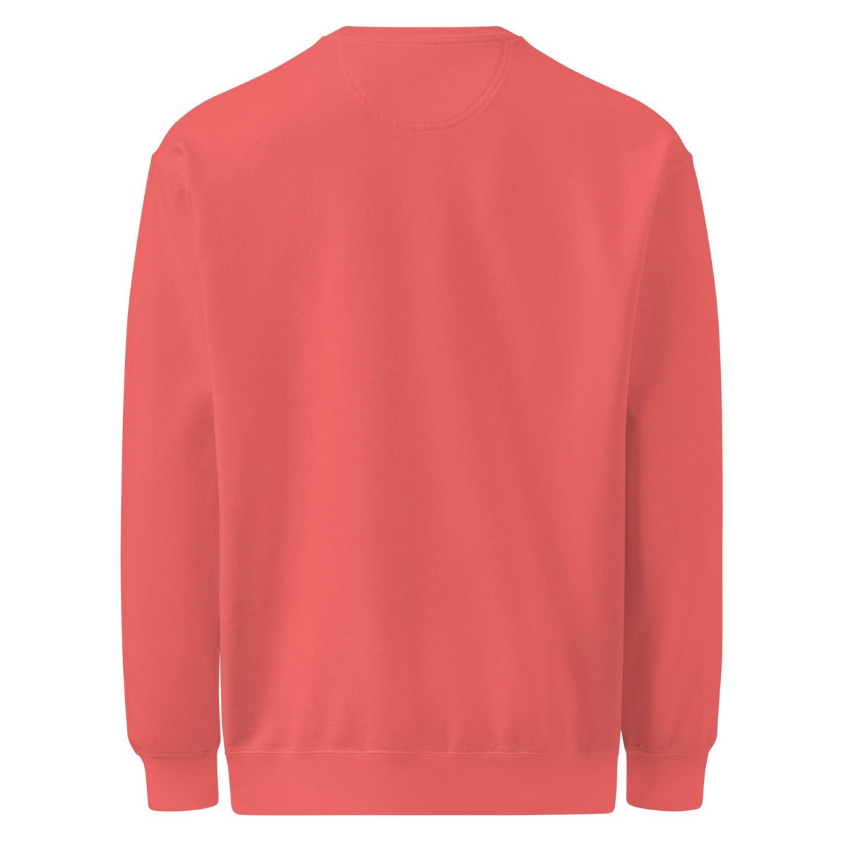 Unisex garment-dyed sweatshirt - PratSN