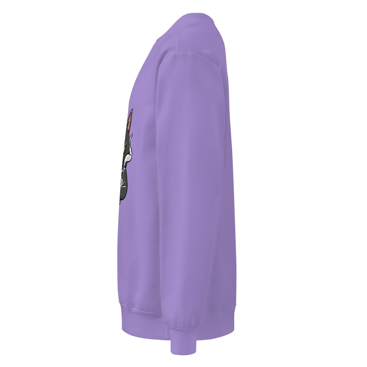 Unisex garment-dyed sweatshirt - PratSN