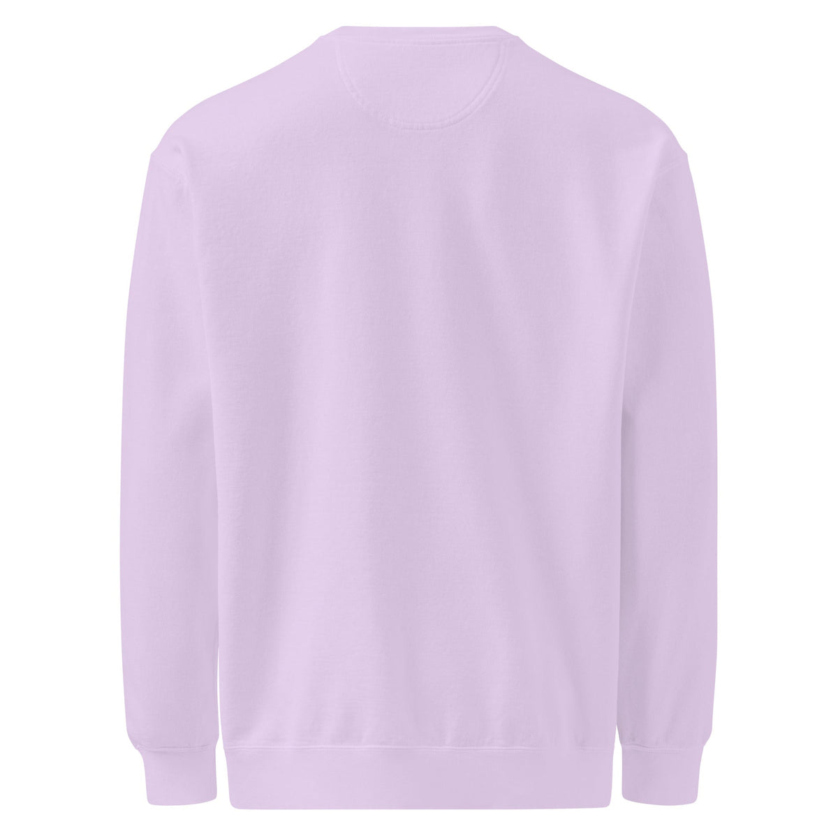 Unisex garment-dyed sweatshirt - PratSN