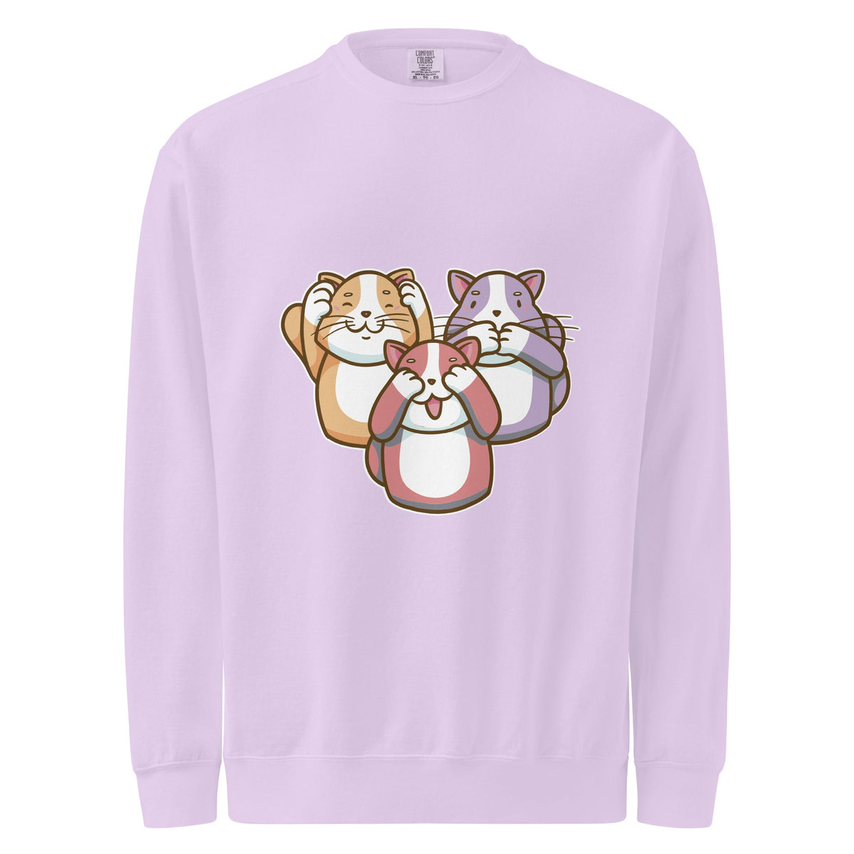 Unisex garment-dyed sweatshirt - PratSN