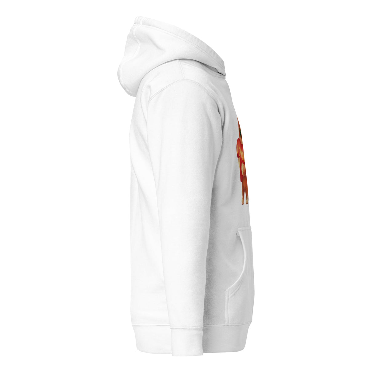Unisex Hoodie, Men's Hoodie, Pullover Hoodie, Sweatshirt, Women's Hoodie - PratSN