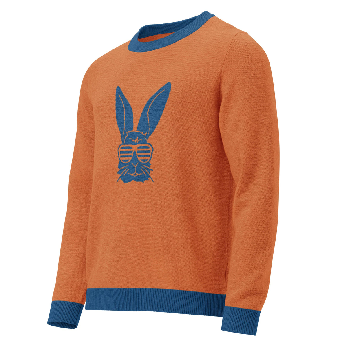Unisex Knitted crew neck sweater - PratSN
