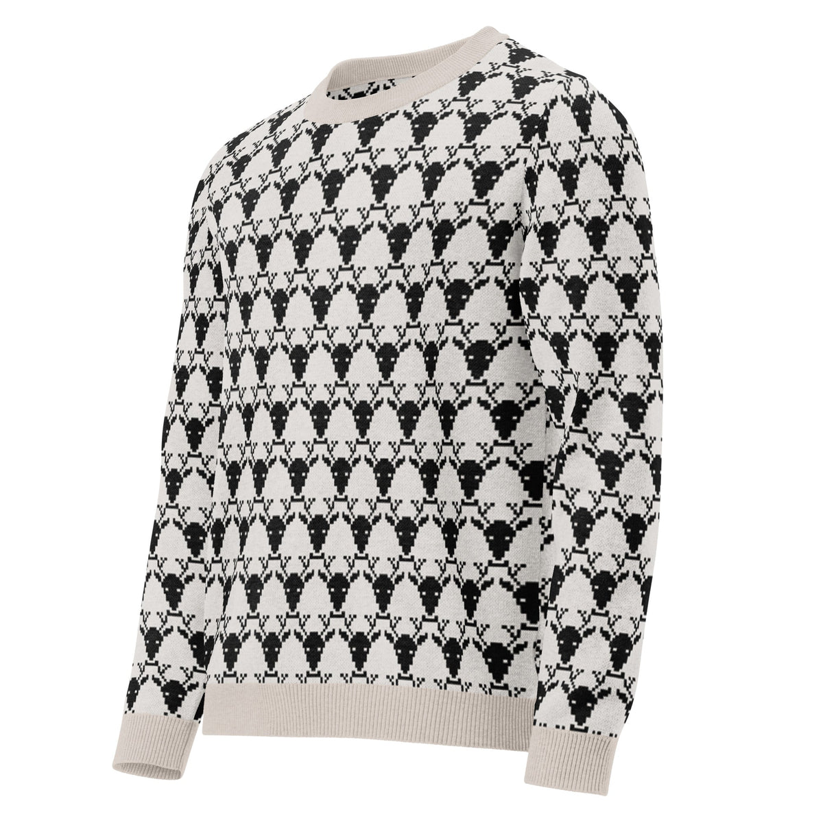 Unisex Knitted crew neck sweater - PratSN