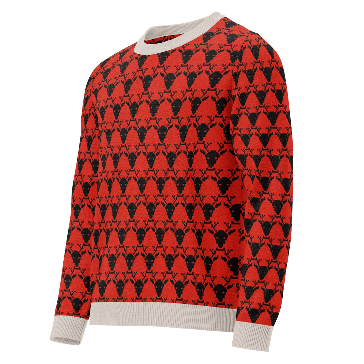 Unisex Knitted crew neck sweater - PratSN