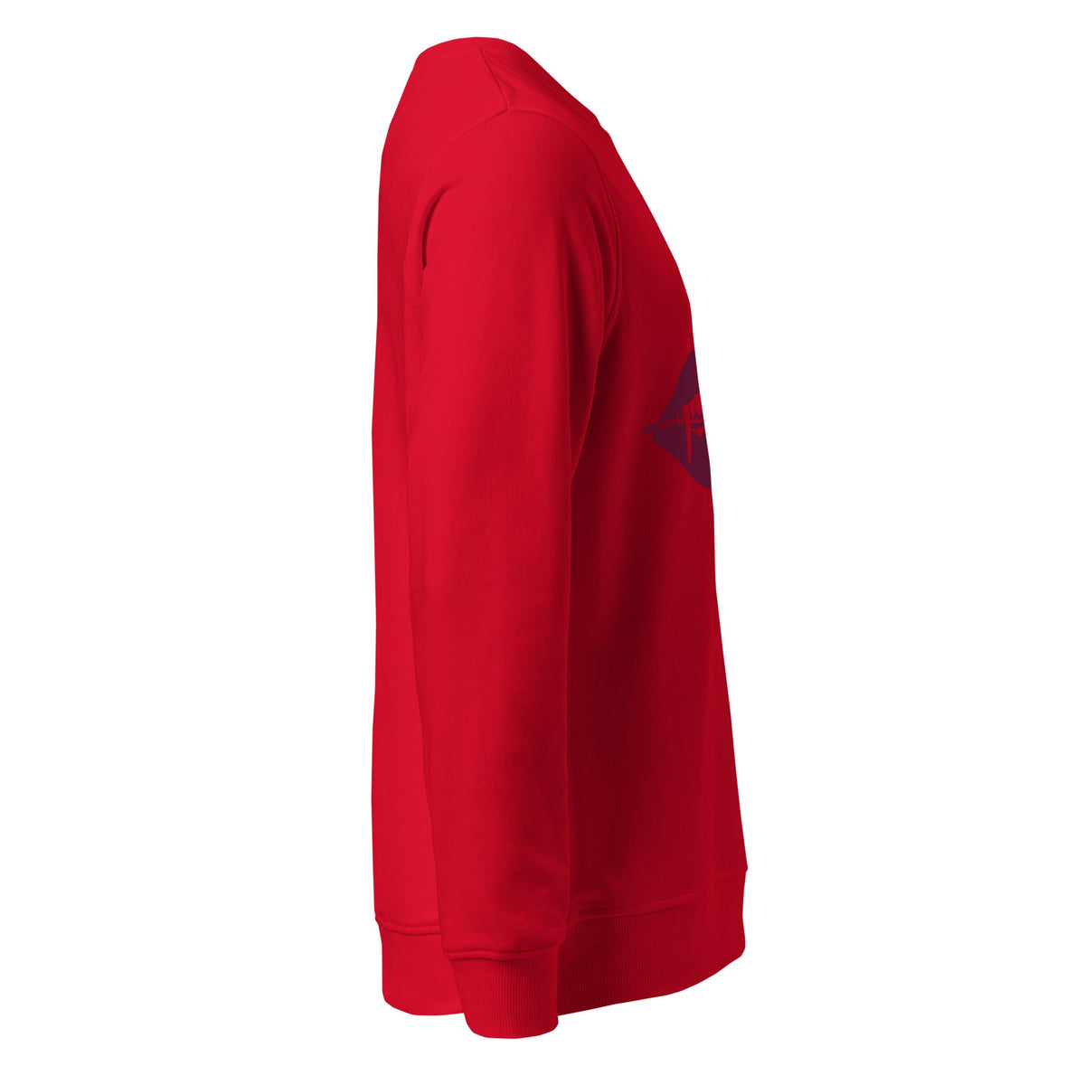 Unisex organic sweatshirt - PratSN