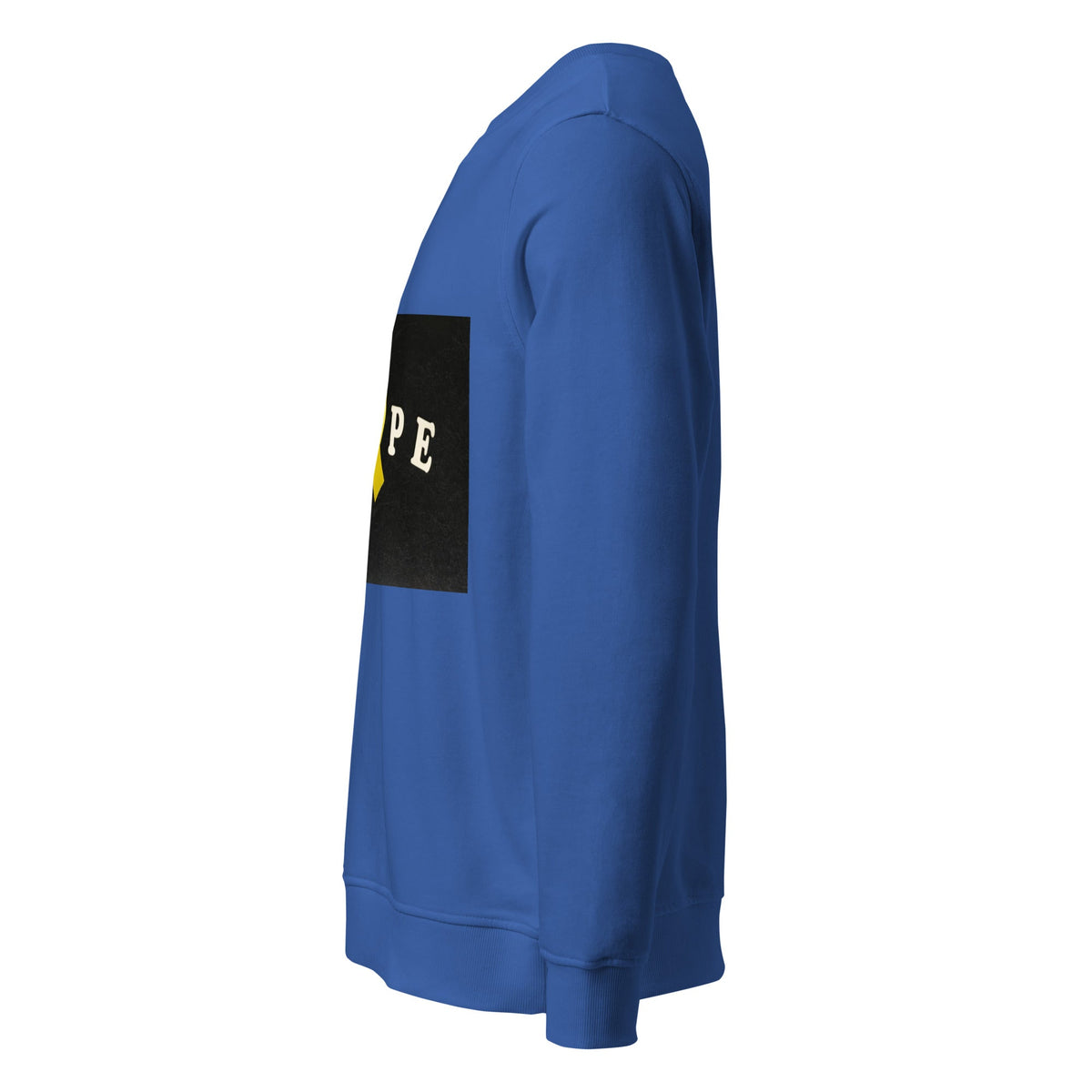 Unisex organic sweatshirt - PratSN