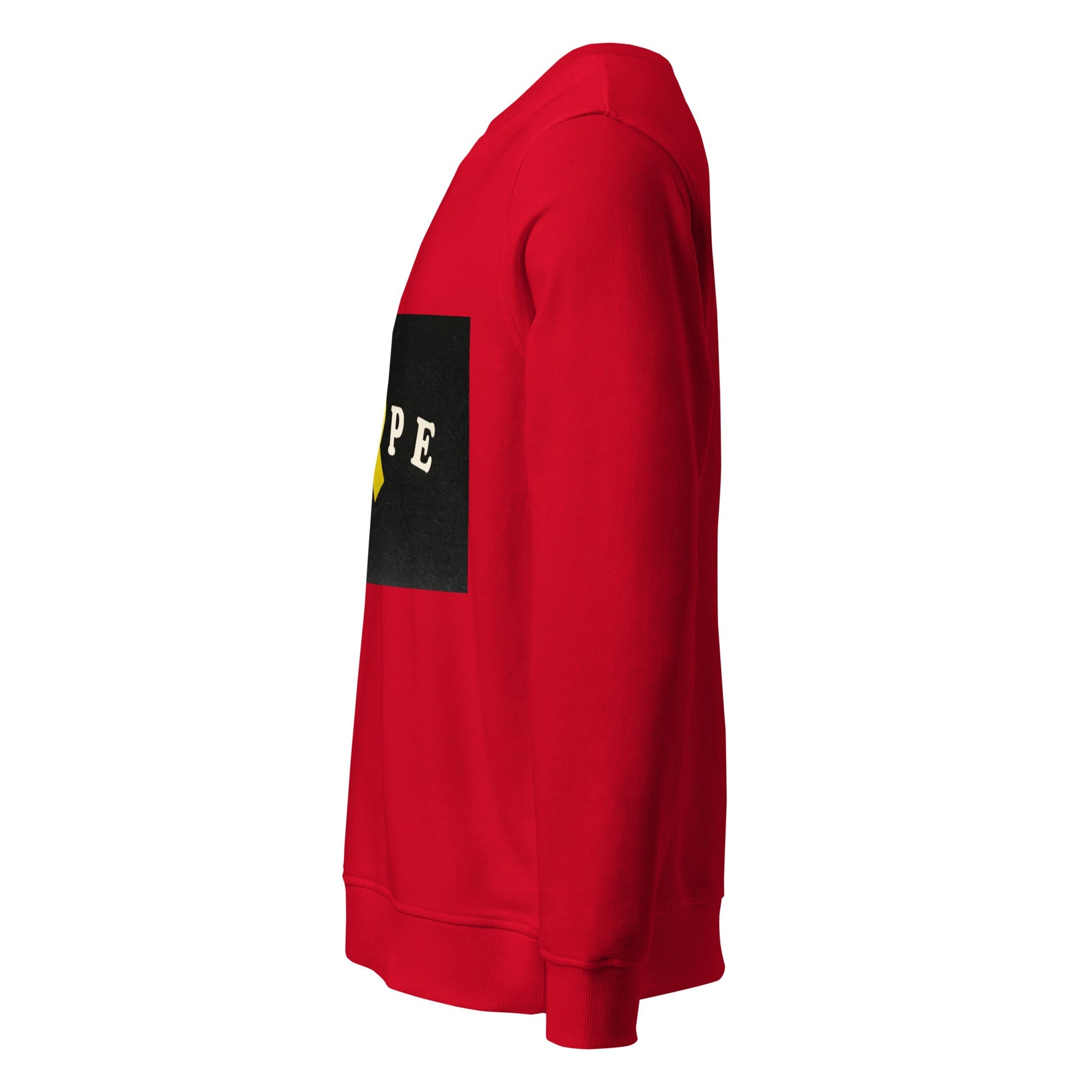 Unisex organic sweatshirt - PratSN
