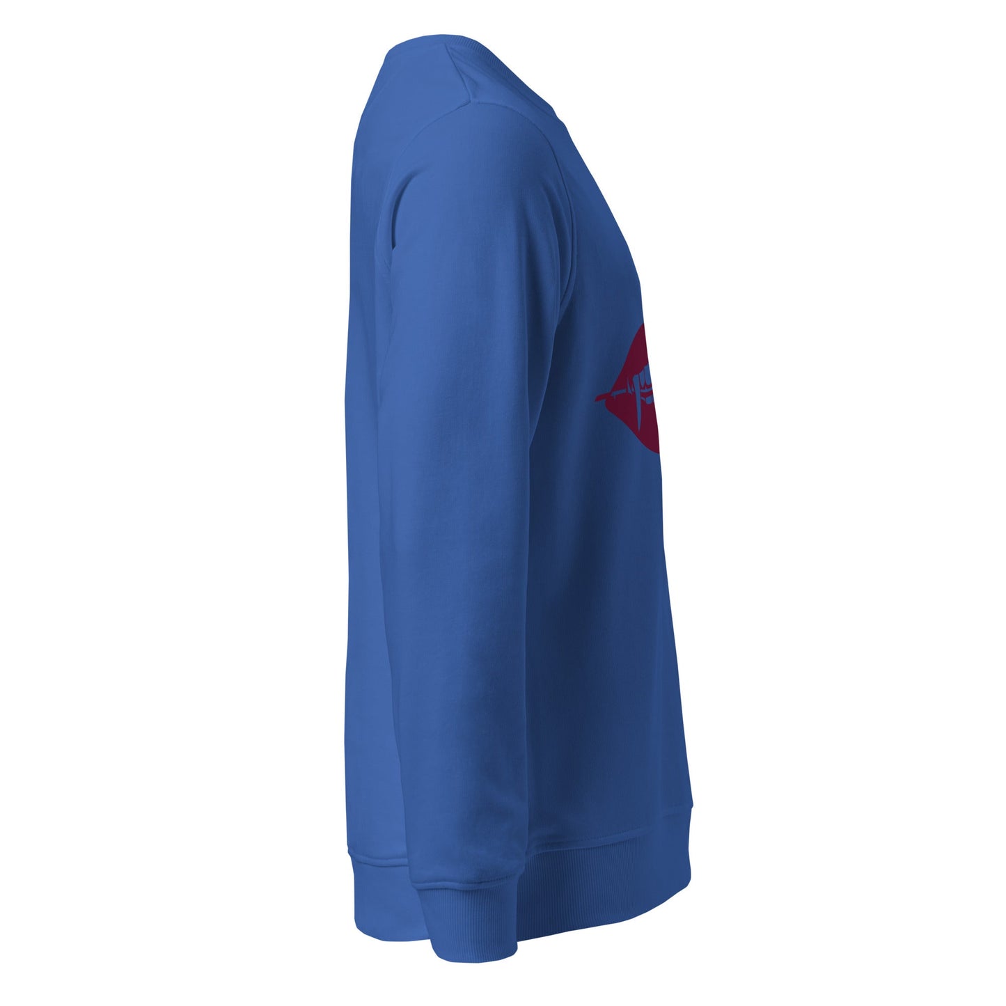 Unisex organic sweatshirt - PratSN