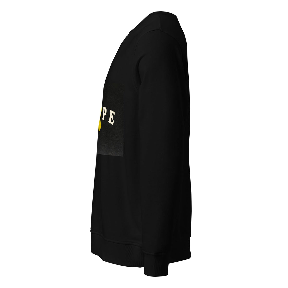 Unisex organic sweatshirt - PratSN