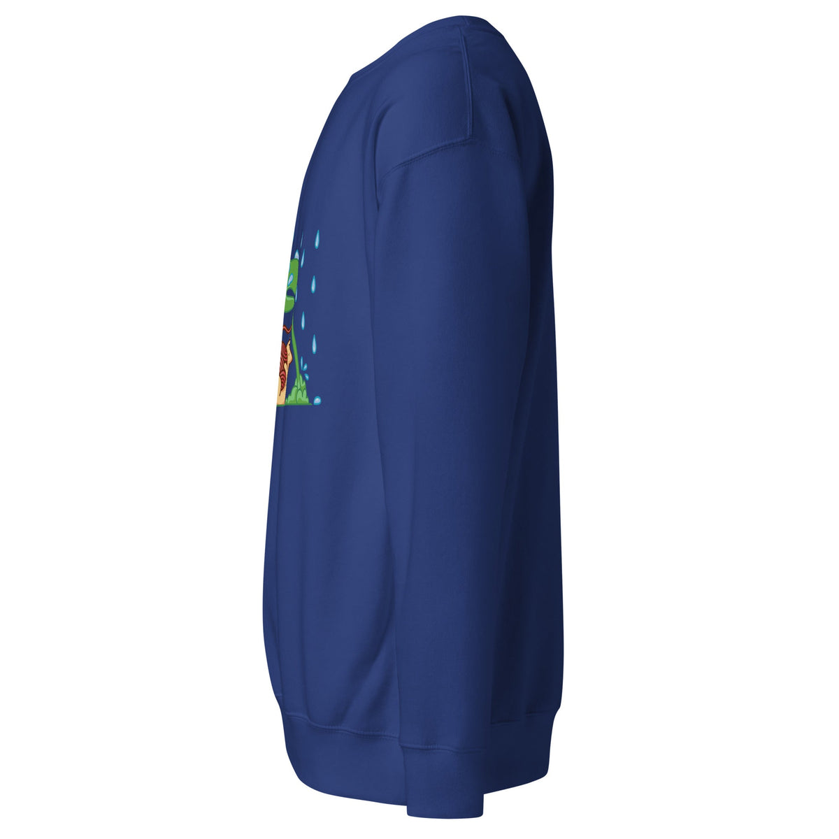 Unisex Premium Sweatshirt, Sweatshirt - PratSN