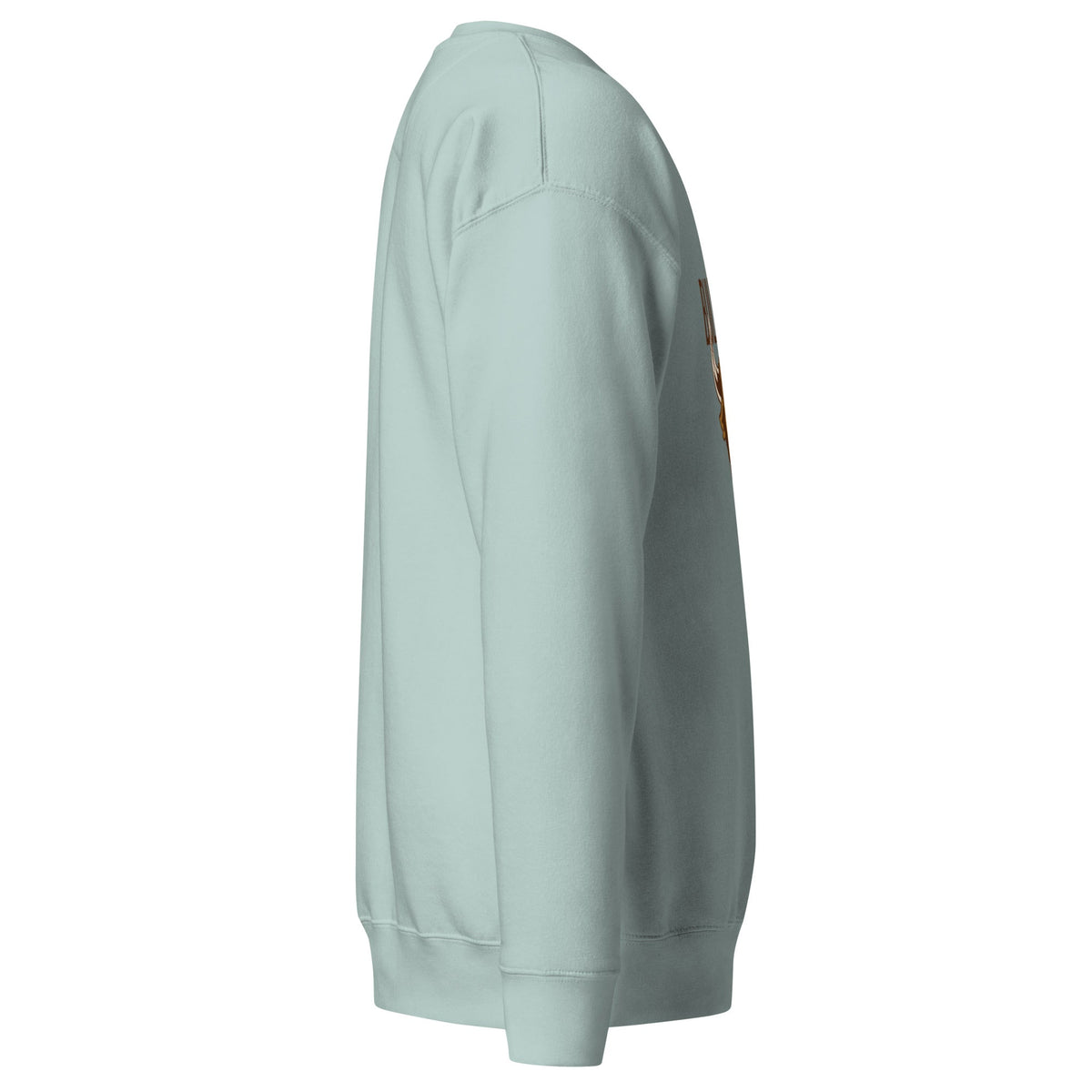 Unisex Premium Sweatshirt, Sweatshirt - PratSN