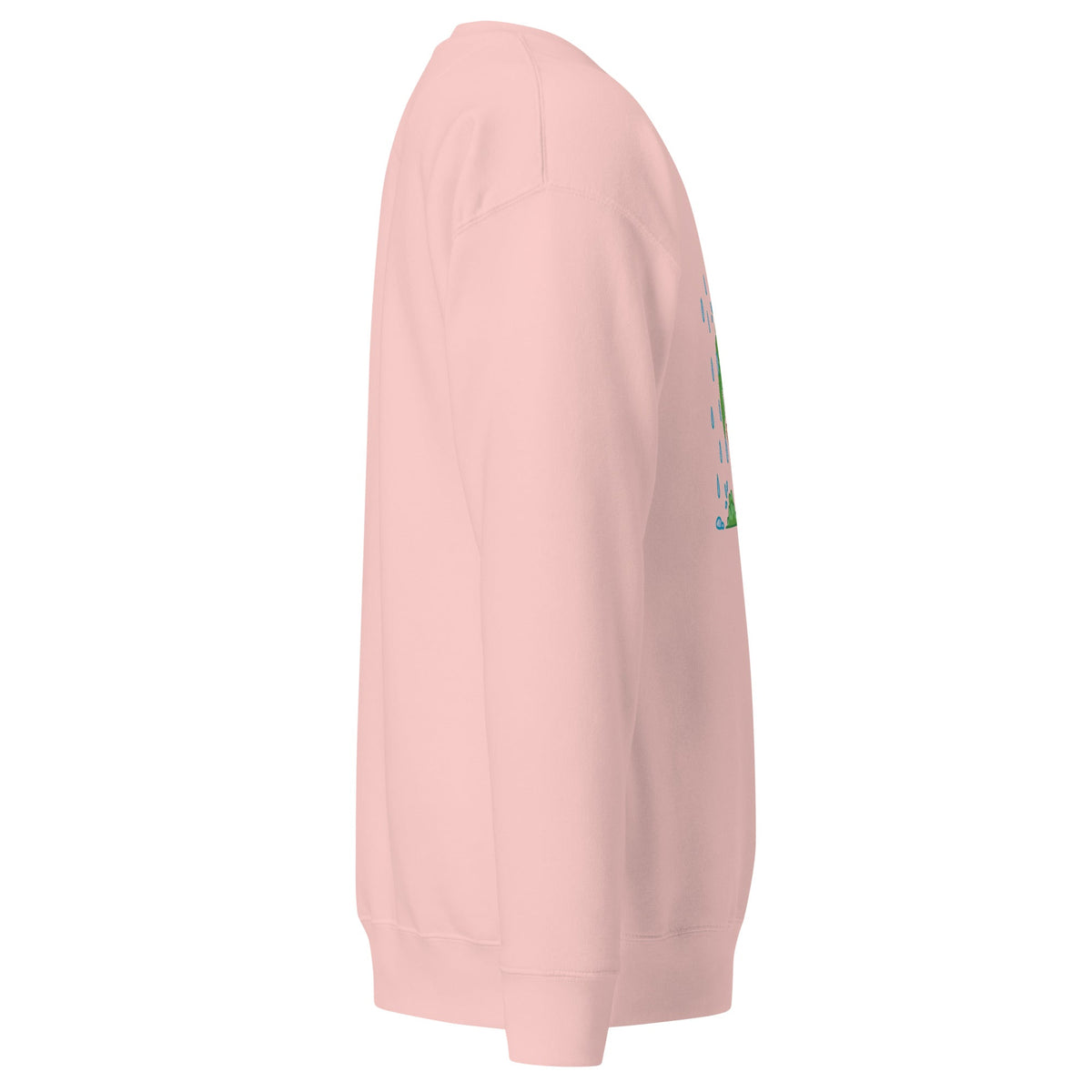 Unisex Premium Sweatshirt, Sweatshirt - PratSN