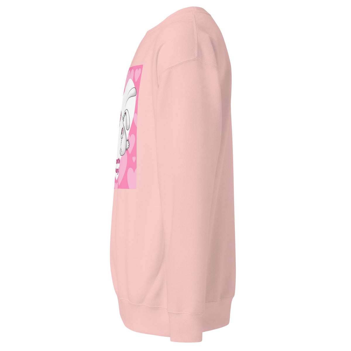 Unisex Premium Sweatshirt, Sweatshirt - PratSN